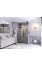 Душевая дверь Ambassador Forsa 17021122AX 160х200