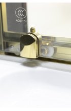 Душевой уголок Niagara Nova NG-42-12AG-A110G 120х110