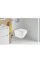 Унитаз WeltWasser WW HOFBACH 041 GL-WT подвесной