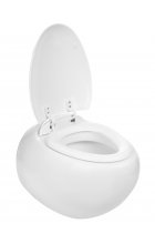 Унитаз WeltWasser WW JECKENBACH 004GL-WT подвесной