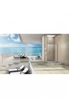 Душевая дверь WeltWasser WW900 900К01-120