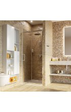 Душевая дверь Wasserkraft Salm 27I12