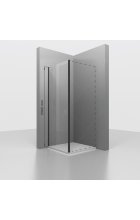 Боковая панель RGW Z-050-3B (100х200) прозрачное стекло